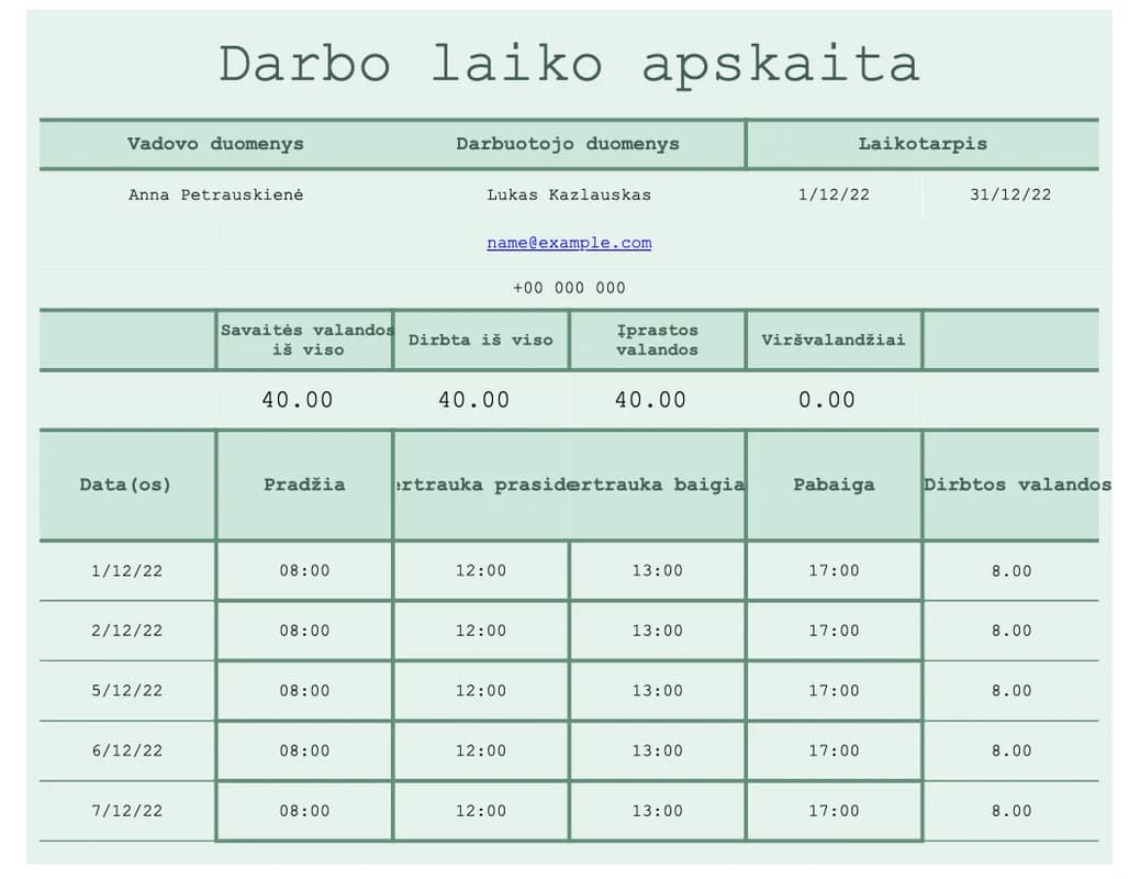 Detalaus valandų darbalapio Excel šablono projektams ir užduotims peržiūra